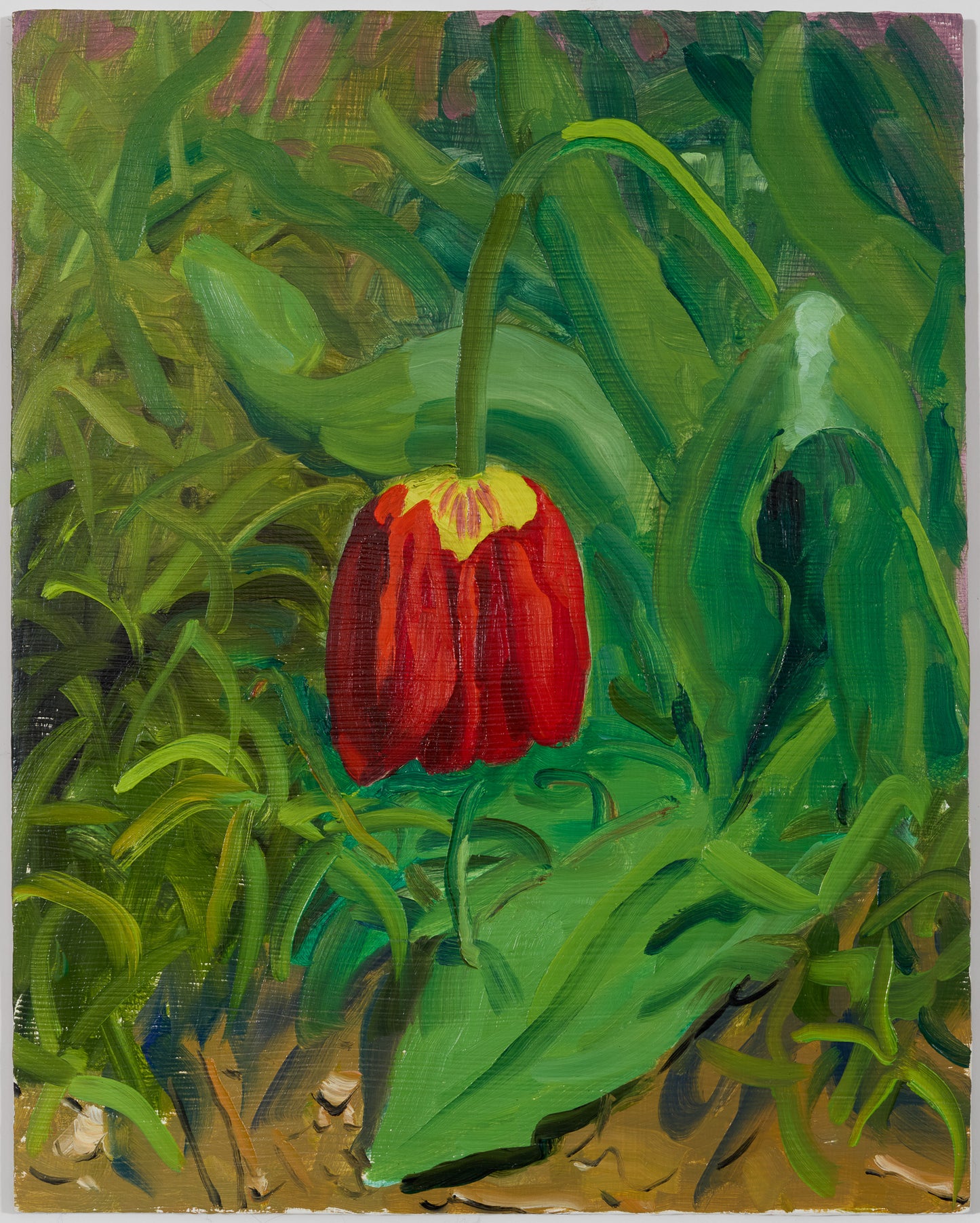 Spent Poppy