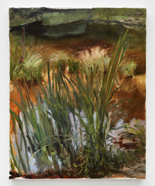 Tall Reeds